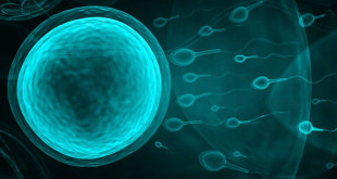 Kак ускорить наступление беременности