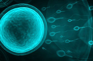 Kак ускорить наступление беременности