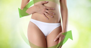 Когда происходит овуляция у женщин